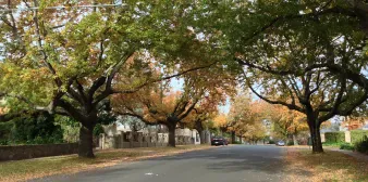 Gutter Cleaning Balwyn